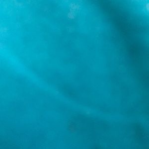 Meet your Posher, Devah